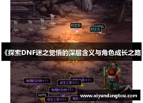 《探索DNF迷之觉悟的深层含义与角色成长之路》