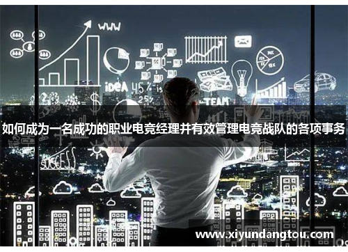 如何成为一名成功的职业电竞经理并有效管理电竞战队的各项事务