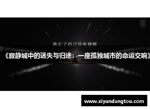 《寂静城中的迷失与归途：一座孤独城市的命运交响》